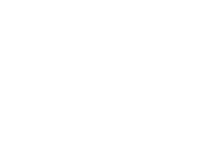 escudo icono
